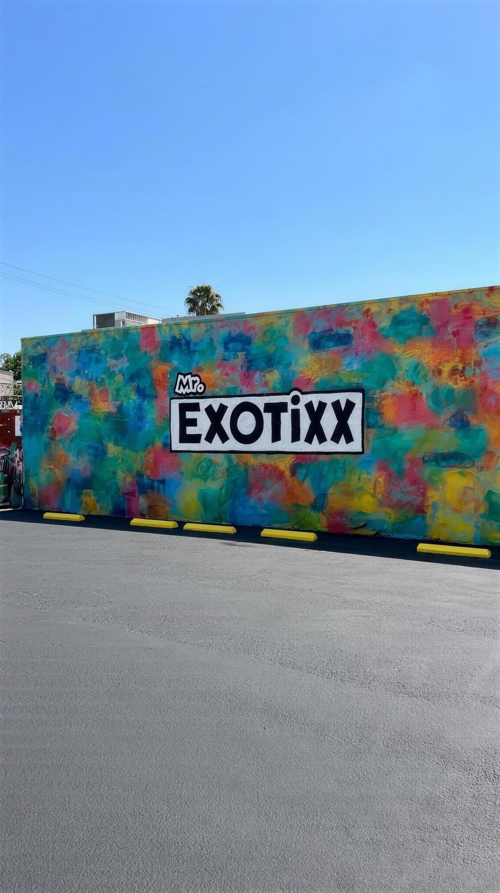The Mr. Exotixx mural — a full wall of color with the logo at center, freshly sealed lot in front